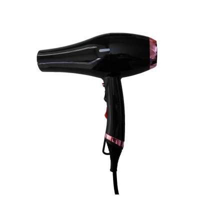 Standard 2000-2200W Heating Wire Element Salon Hair Hand Dryer