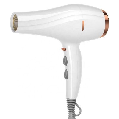 2020 New Design 2000W Competitive Price Professional Hair Dryer