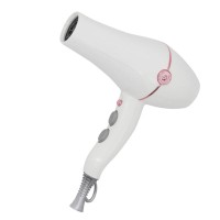 New  Goods Various Power  Electric Long  Life  2300W Brush AC  Hair  Dryer